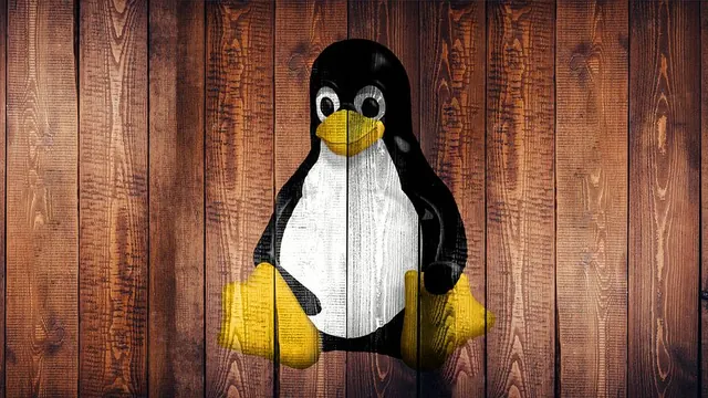 Linux下python安装和包管理